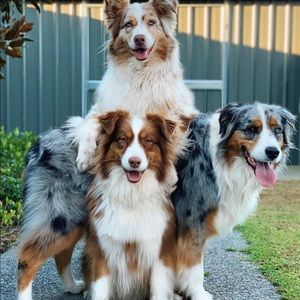 Meet your Posher, Edward